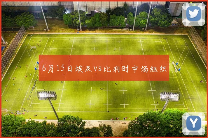 6月15日埃及vs比利时中场组织
