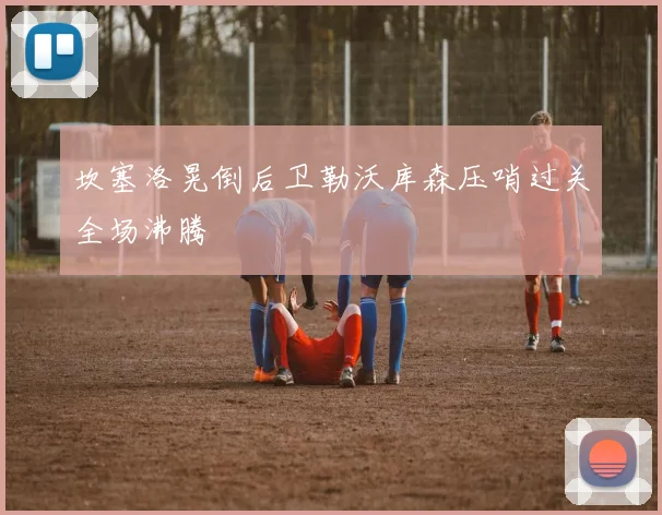 坎塞洛晃倒后卫勒沃库森压哨过关全场沸腾