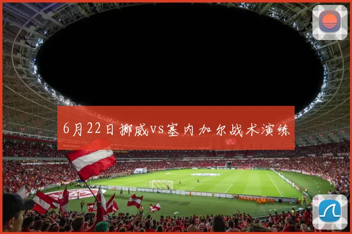 6月22日挪威vs塞内加尔战术演练