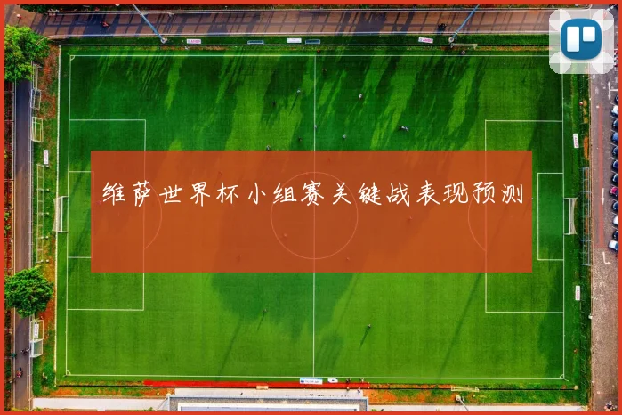 维萨世界杯小组赛关键战表现预测