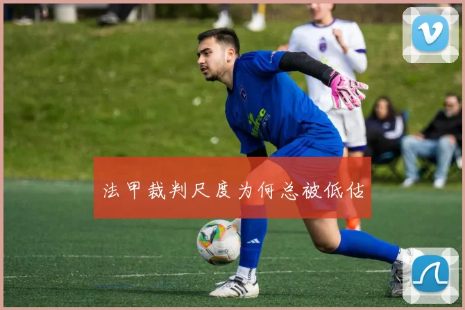 法甲裁判尺度为何总被低估