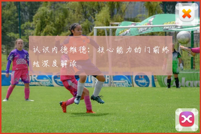 认识内德维德:核心能力的门前终结深度解读